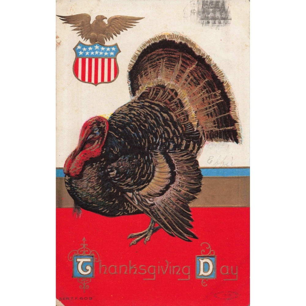Vintage 1909 Thanksgiving Day Postcard Turkey American Eagle Shield Embossed VG - Picture 1 of 2